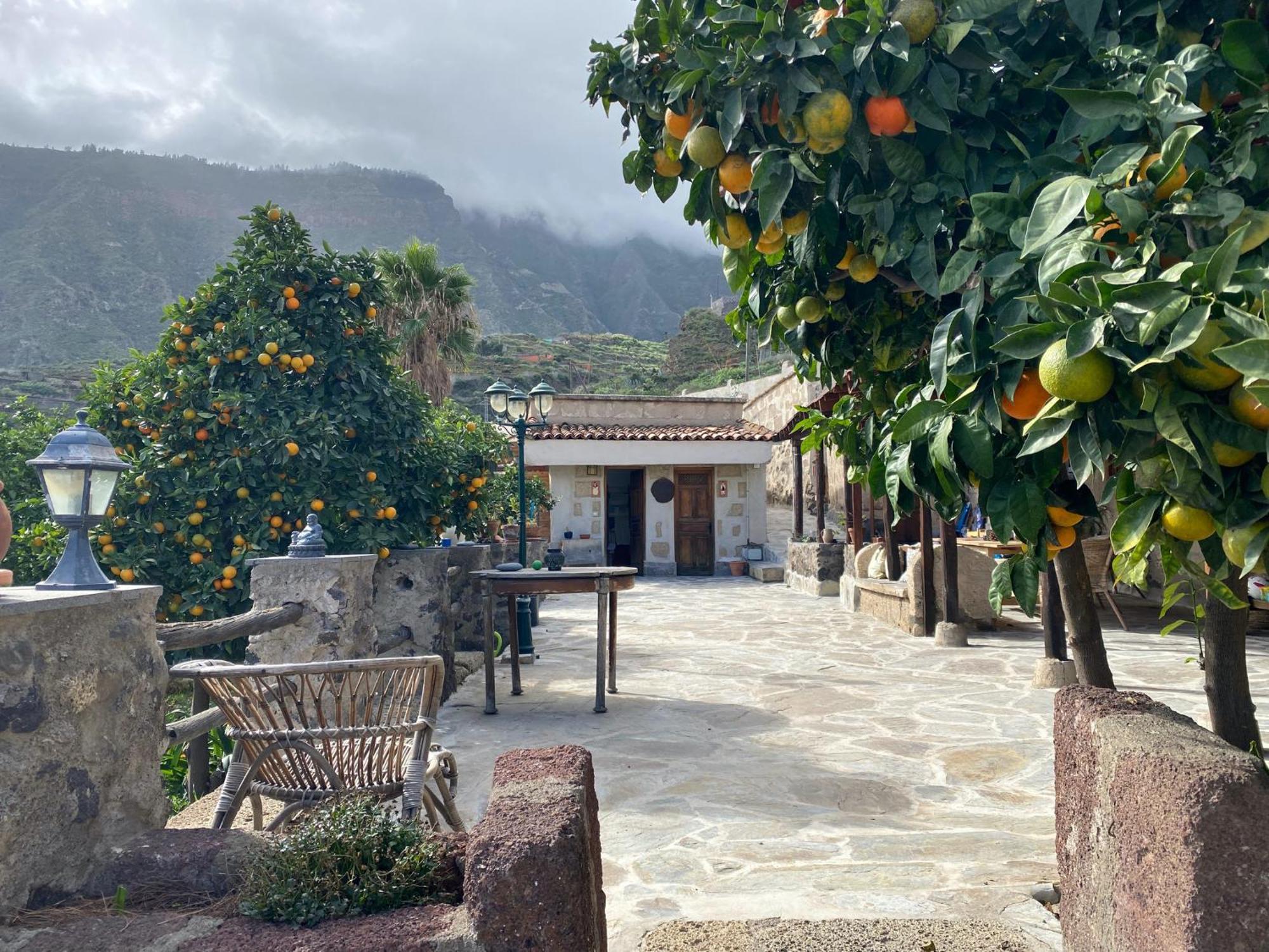 Biofinca Casa El Riego Güimar Exterior foto